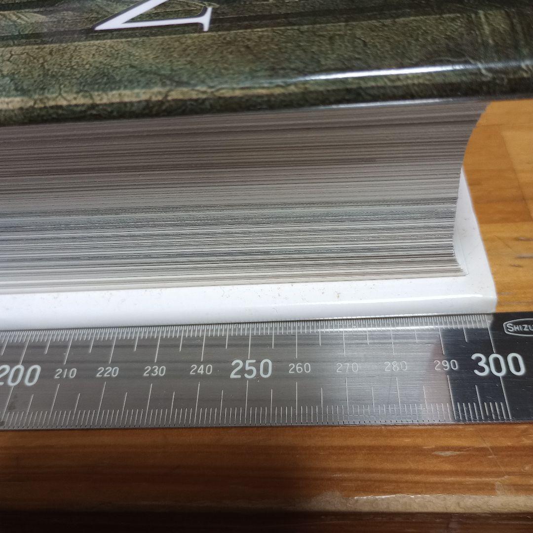 The Vatican （高品質カラー印刷）