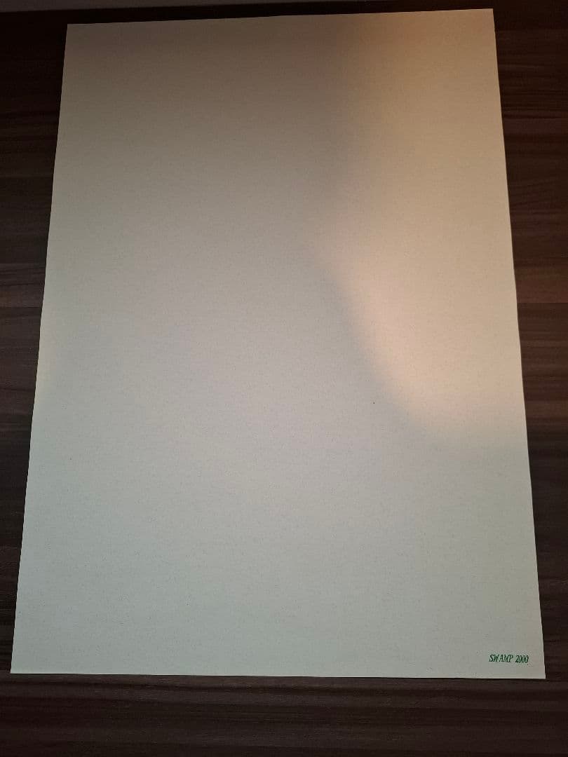 パスヘッド ポスター 敢然 シルクスクリーン　222枚限定 Pushead