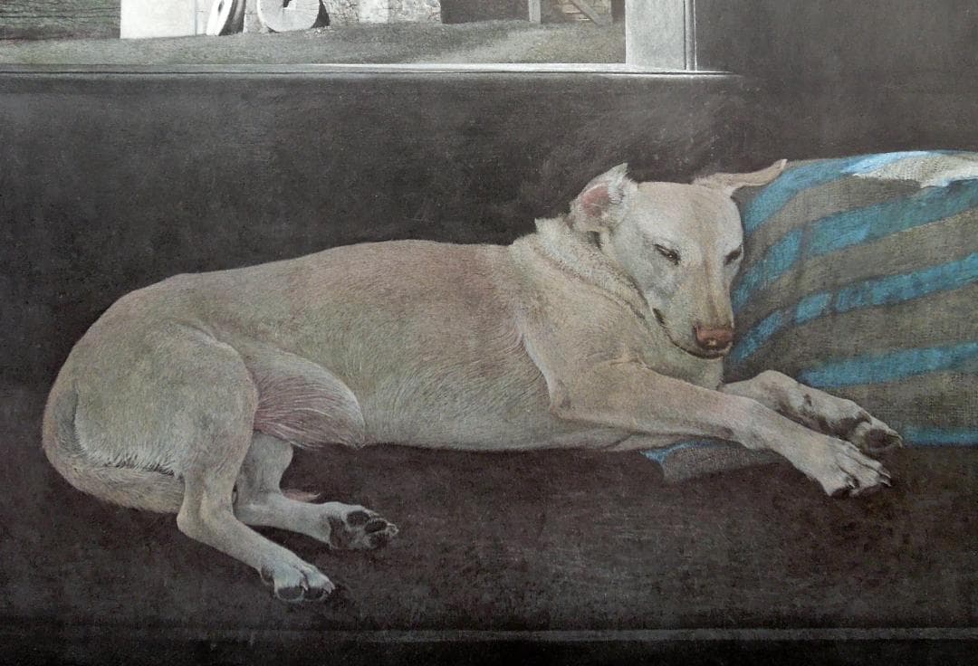 レア 210万円 真作 アンドリュー・ワイエス 直筆サイン アメリカ 写実