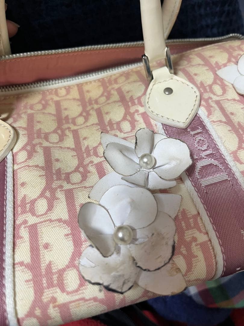 【あにまる】Christian Diorトロッター