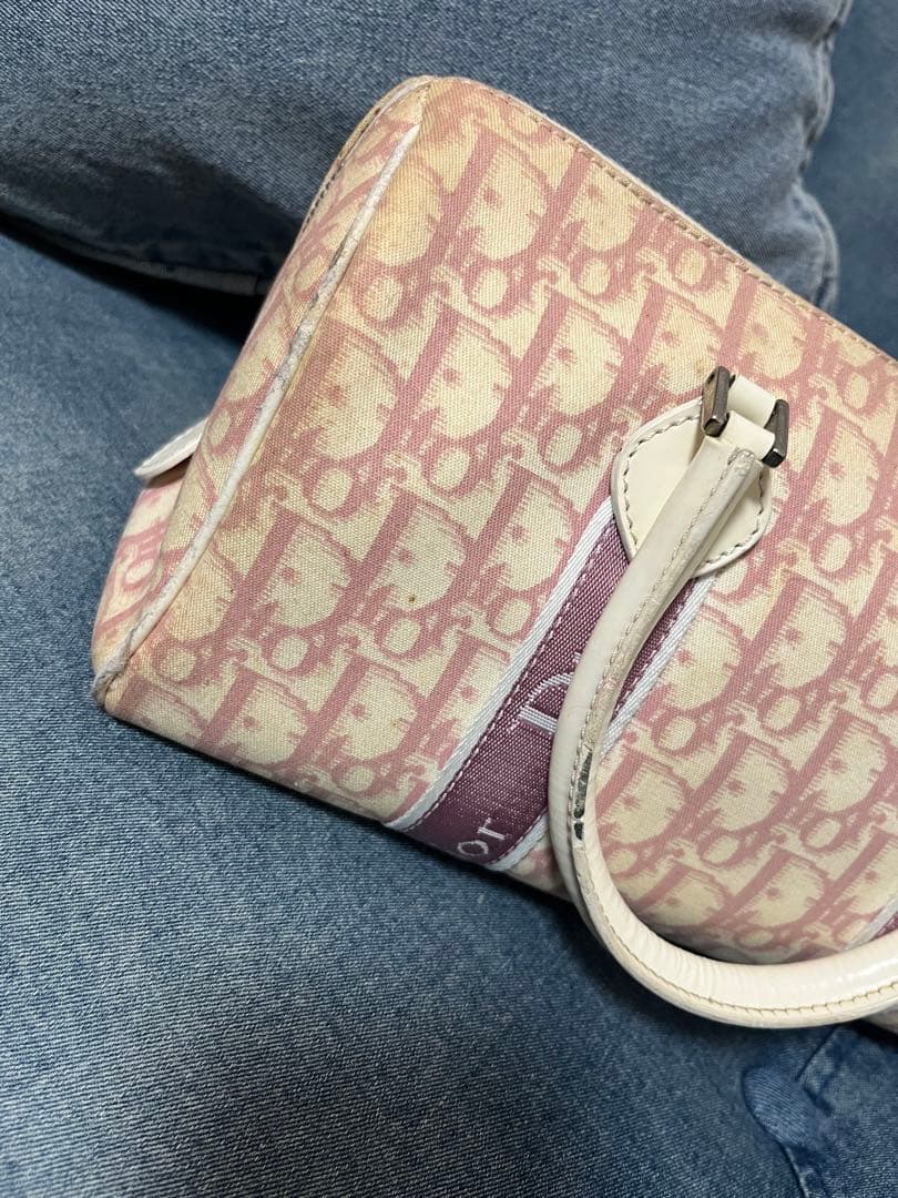 【あにまる】Christian Diorトロッター