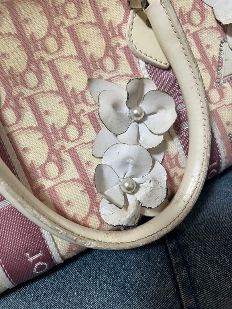 【あにまる】Christian Diorトロッター