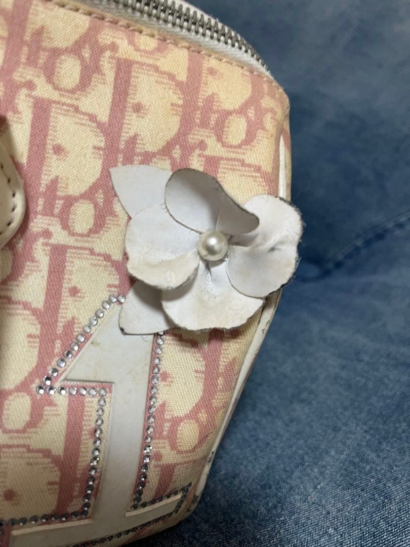 【あにまる】Christian Diorトロッター