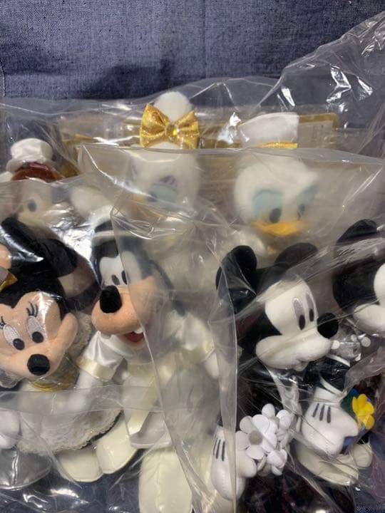 ディズニーランド ワンマンズ・ドリームⅡ ポージーポージープラッシー