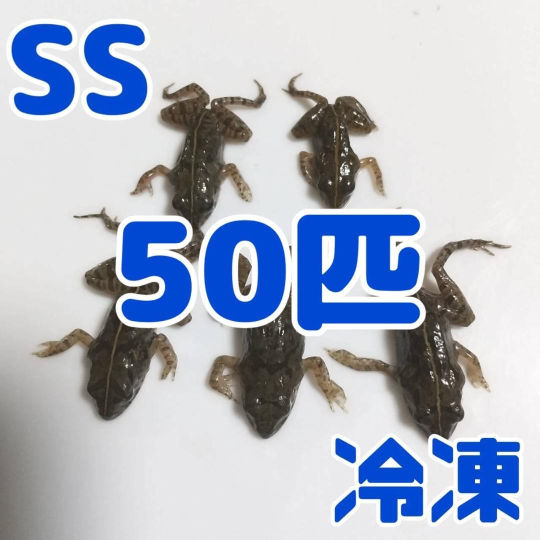 国産】冷凍カエル 餌用 SS 50匹 胴長1.5~2cm ヌマガエル ヘビ 蛇