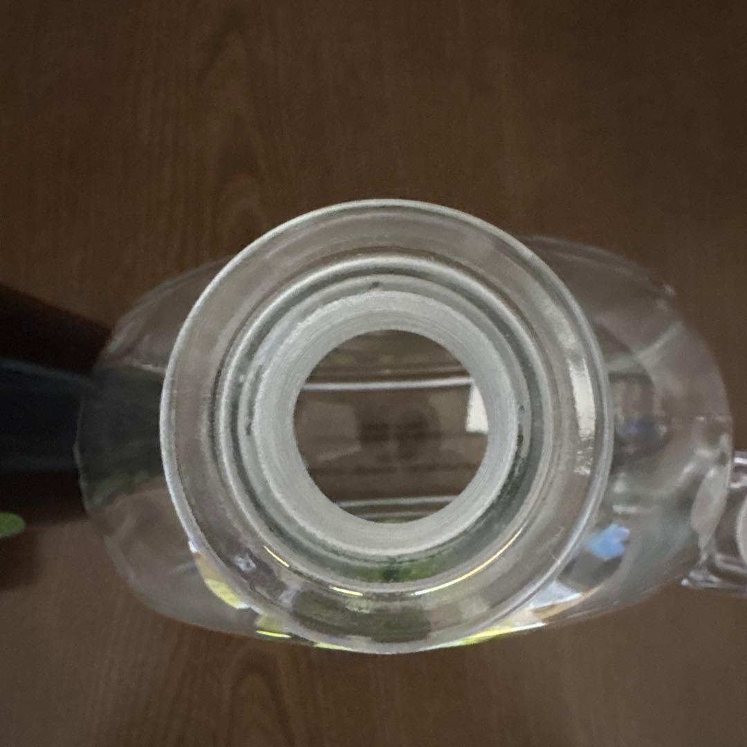 ディズニーワールド ホーンテッドマンション シャグとのコラボ ボトル2点