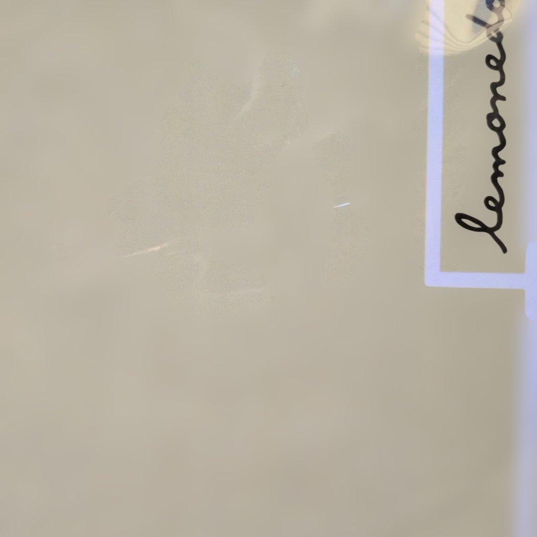 上白石萌音 yattokosa2021FC限定ペンライト