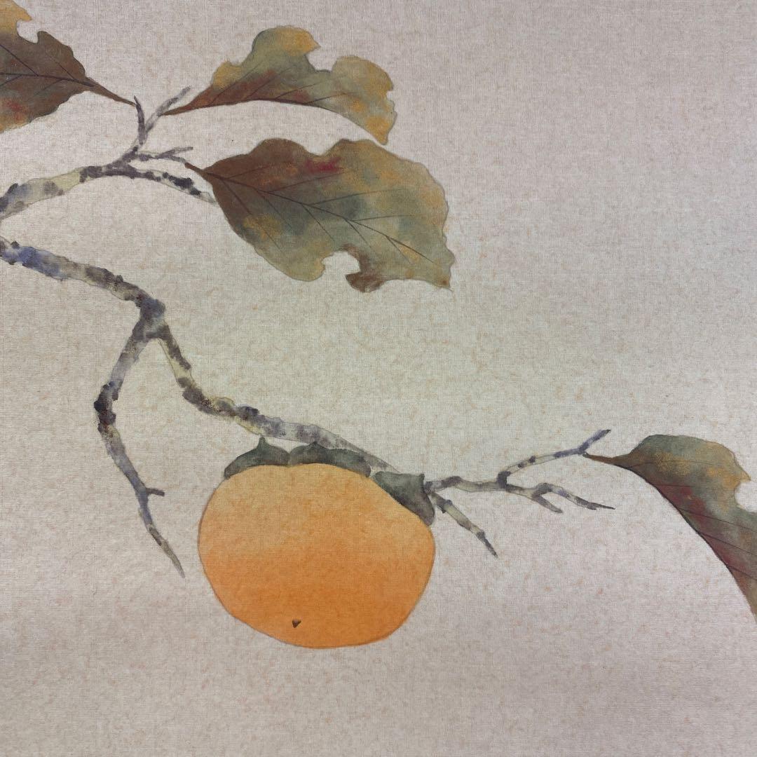 美品 掛け軸 柳沢寿江作 柿図 花鳥 共箱 太巻き 縁起物 - メルカリ