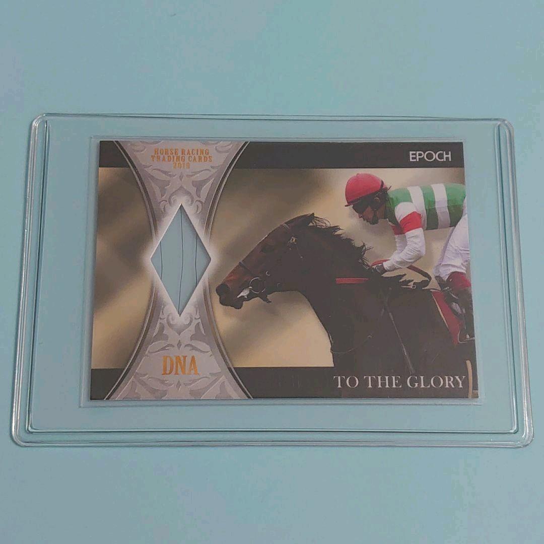 限定品】ホースレーシング2019 トゥザグローリー DNACARD ウマ娘