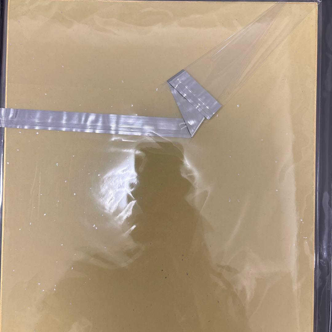 新品　Re:ゼロから始める異世界生活42巻発売記念　アニメイト店頭抽選　直筆色紙