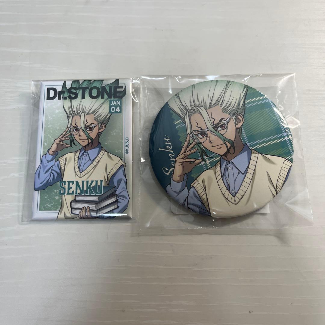 Dr.STONE くじ引き堂 読書の秋 石神千空 缶バッジ - メルカリ