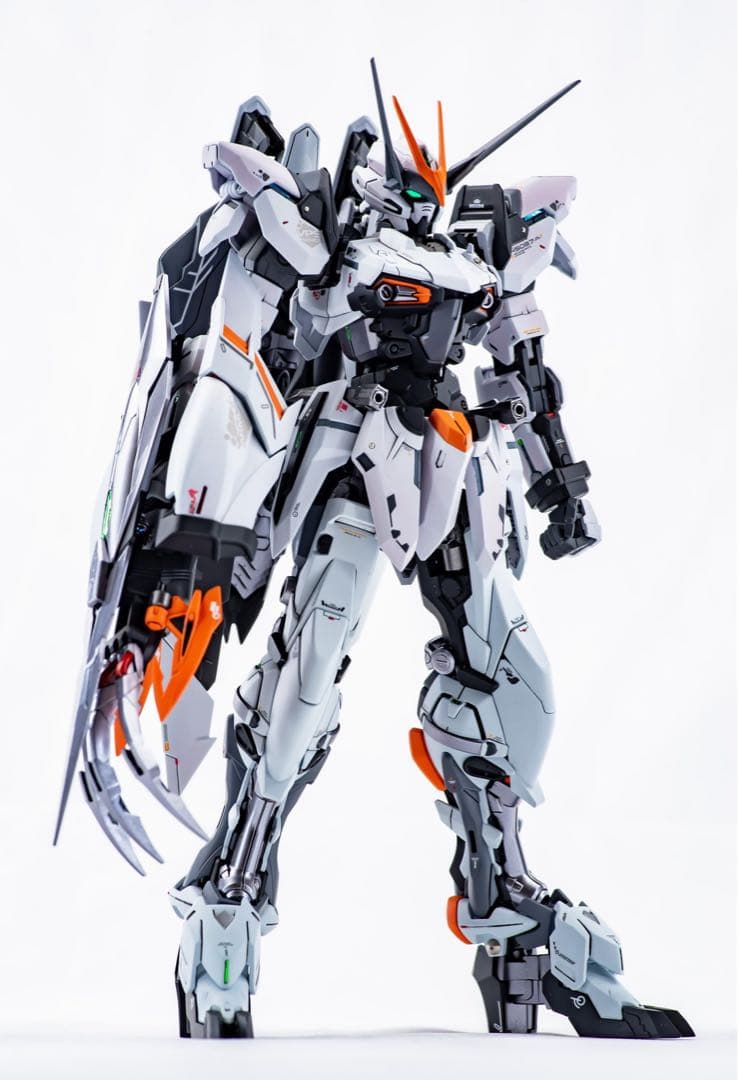 テスタメントガンダム MG らいなーマン様作