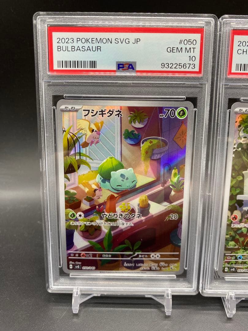 連番！ポケモンカード スペシャルデッキセットEX 御三家 AR P