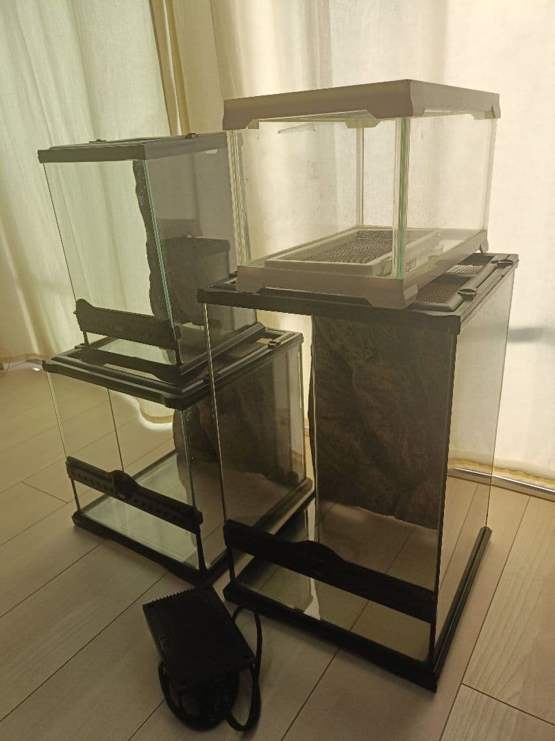 エネル様 ガラスケージ - 温室・飼育ケースオンライン ショップ