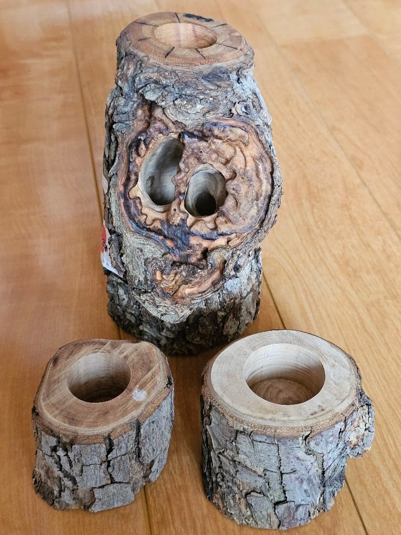 コンゴ産 赤道州 トルクアタ 79mm