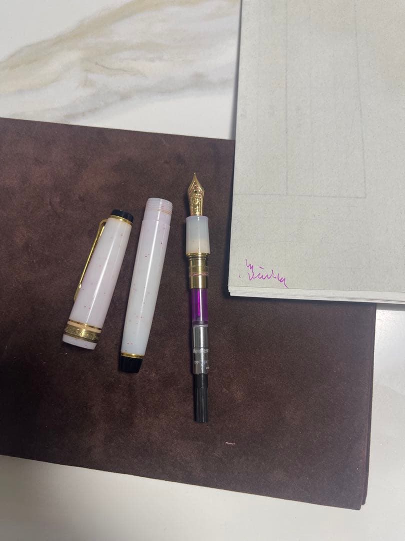 【訳あり・廃盤品】セーラー　万年筆　四季織　雪椿　MF