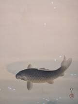 模写】掛軸 川端龍子 花吹き 桜と鯉の情景 優雅に泳ぐ黒鯉図 二重箱入