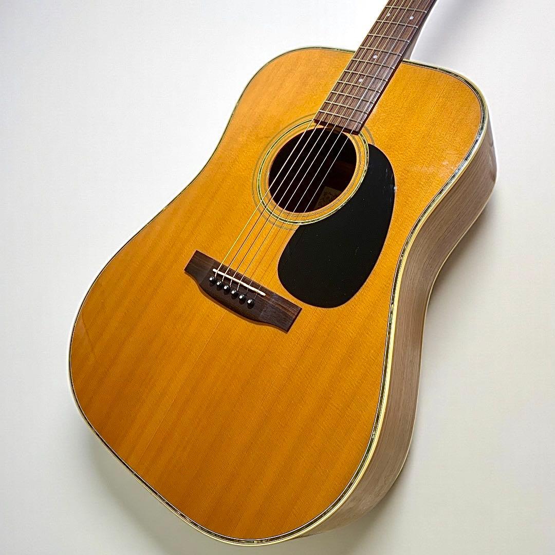 アコースティックギターその他ブランド | 三木楽器公式通販サイト(並び