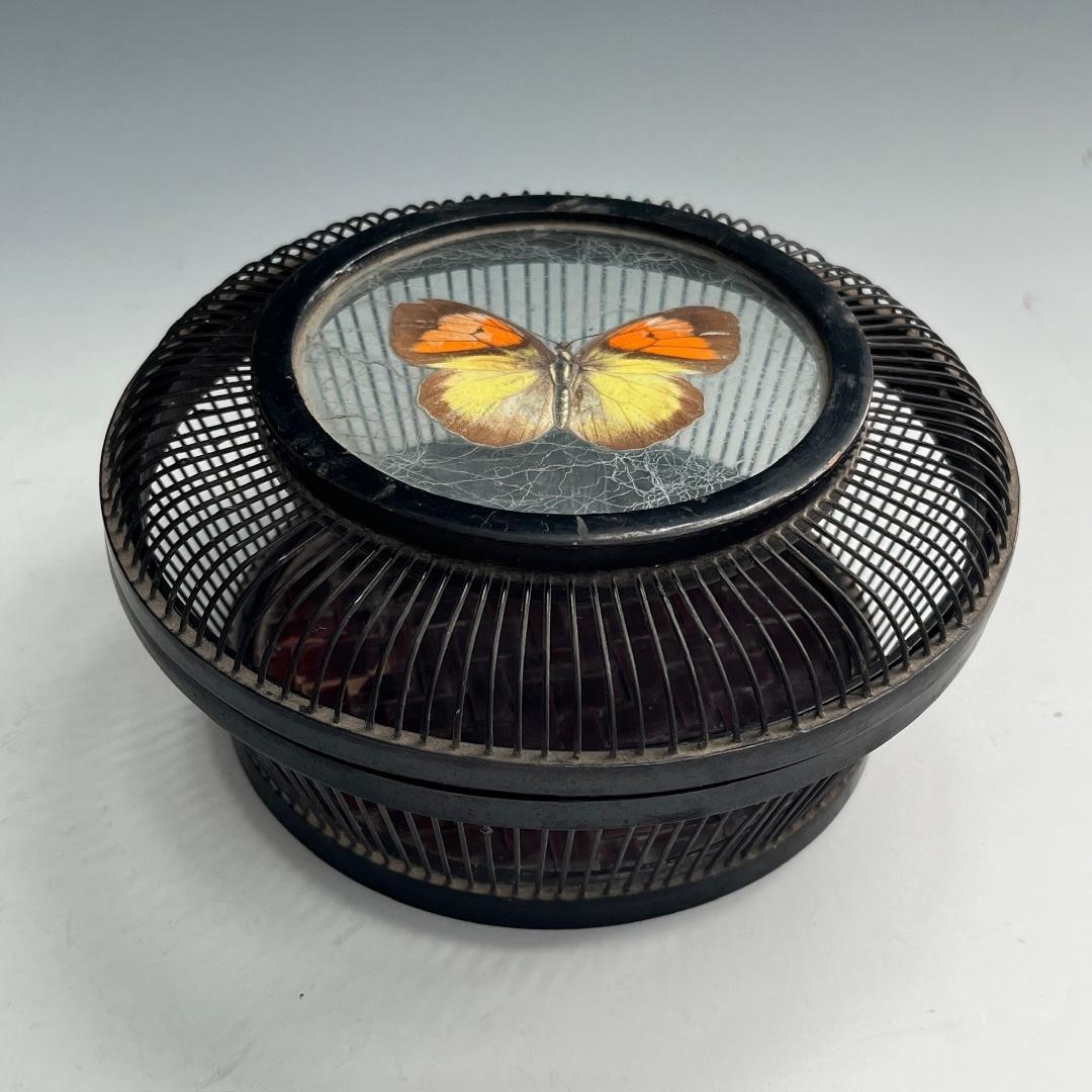 希少 蝶 駿河竹千筋細工 菓子器 明治時代 0.6㍉極小ひご竹細工家蒐集S62