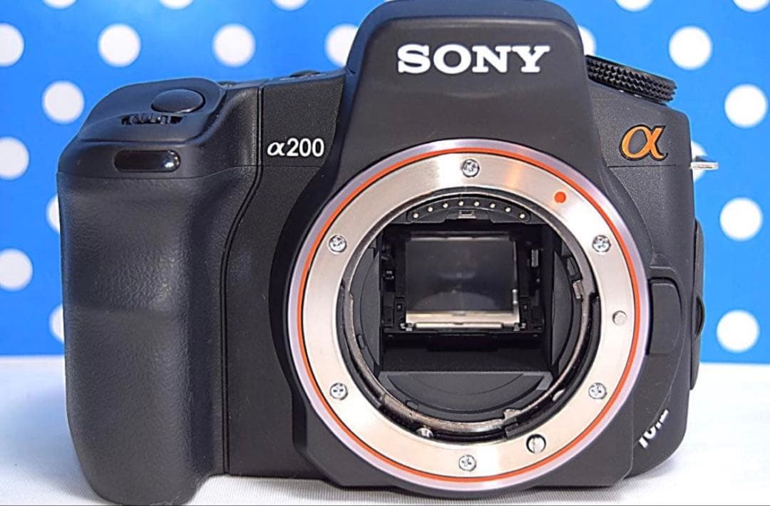 ✨極美品✨❤初心者オススメ❤✨スマホ転送OK✨SONYソニーα200