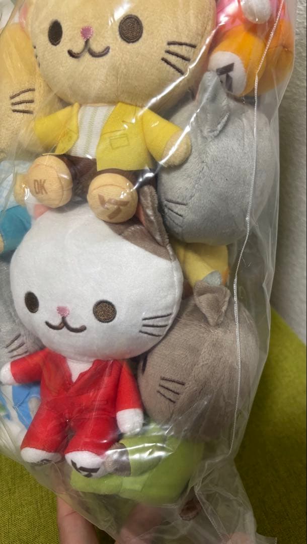 Seventeen Animal Coordyセブチぬいぐるみ 13体セット