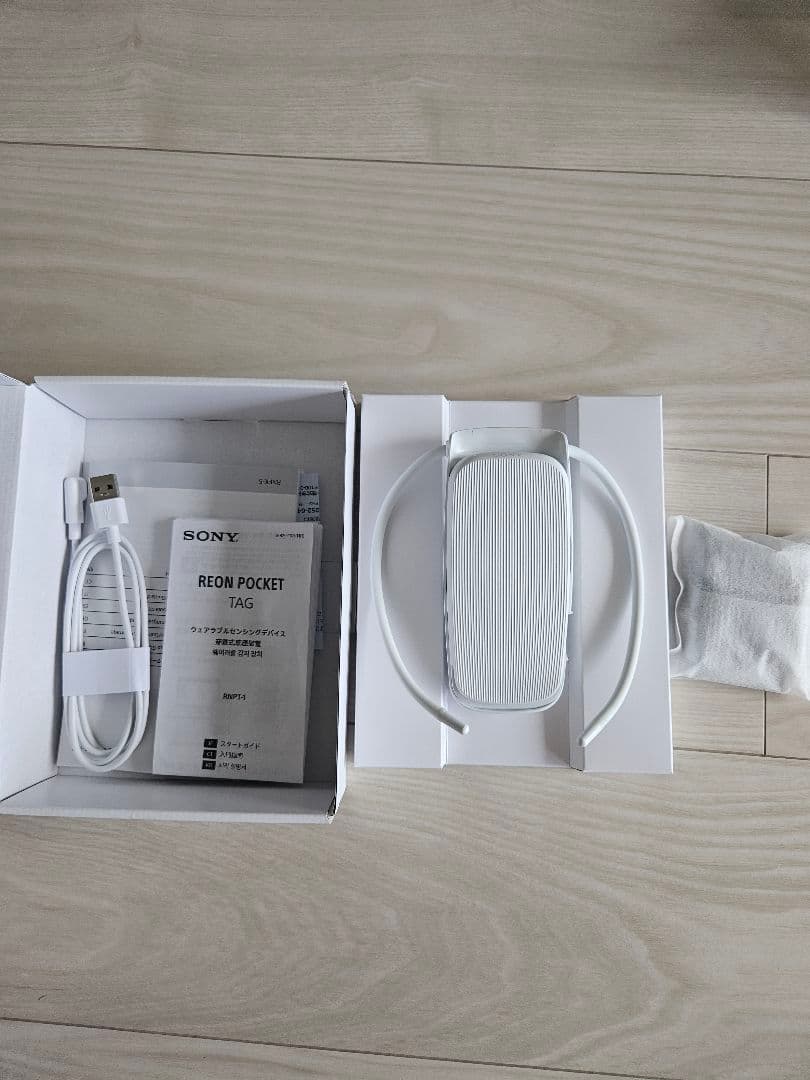 レオンポケット５