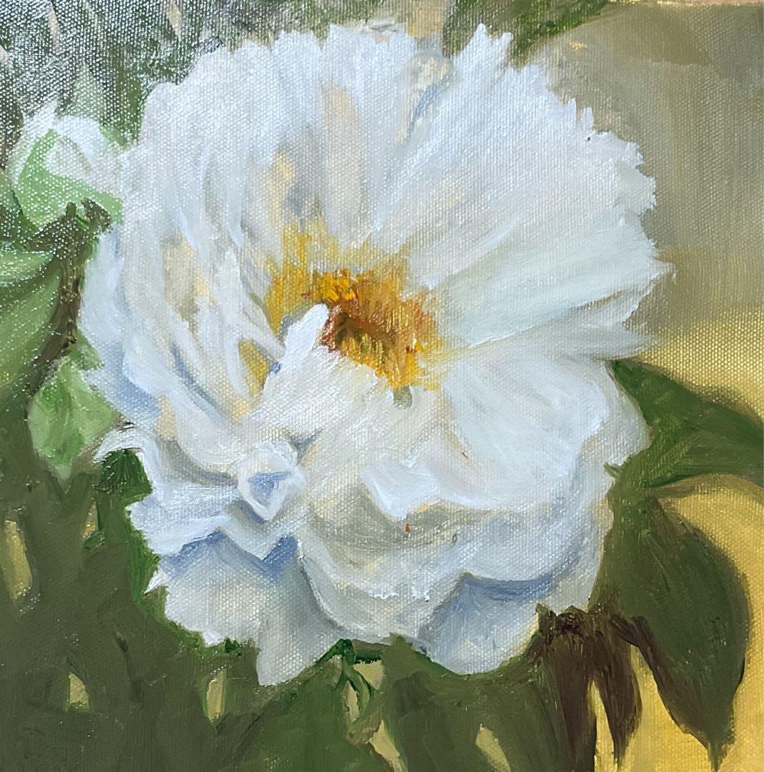 油彩画 「 牡丹 貴婦人 」 額付 原画