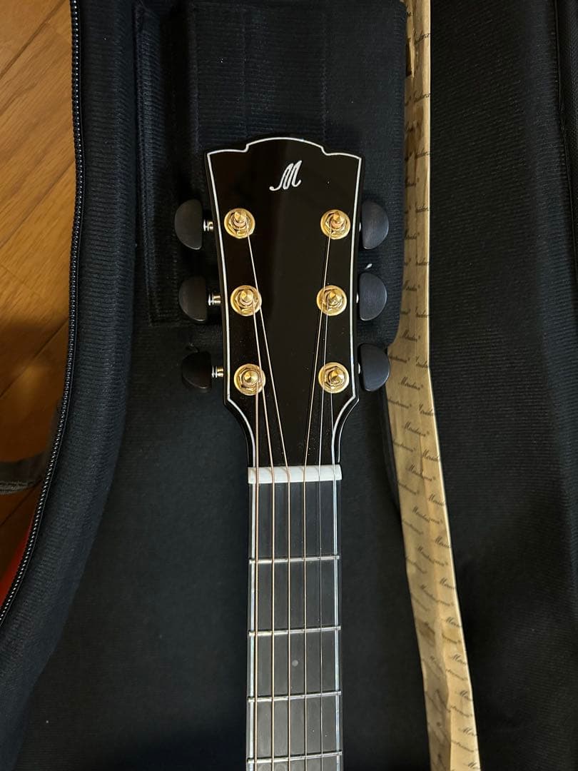 Merida WAVE アコースティックギター｜オール単板 楠木