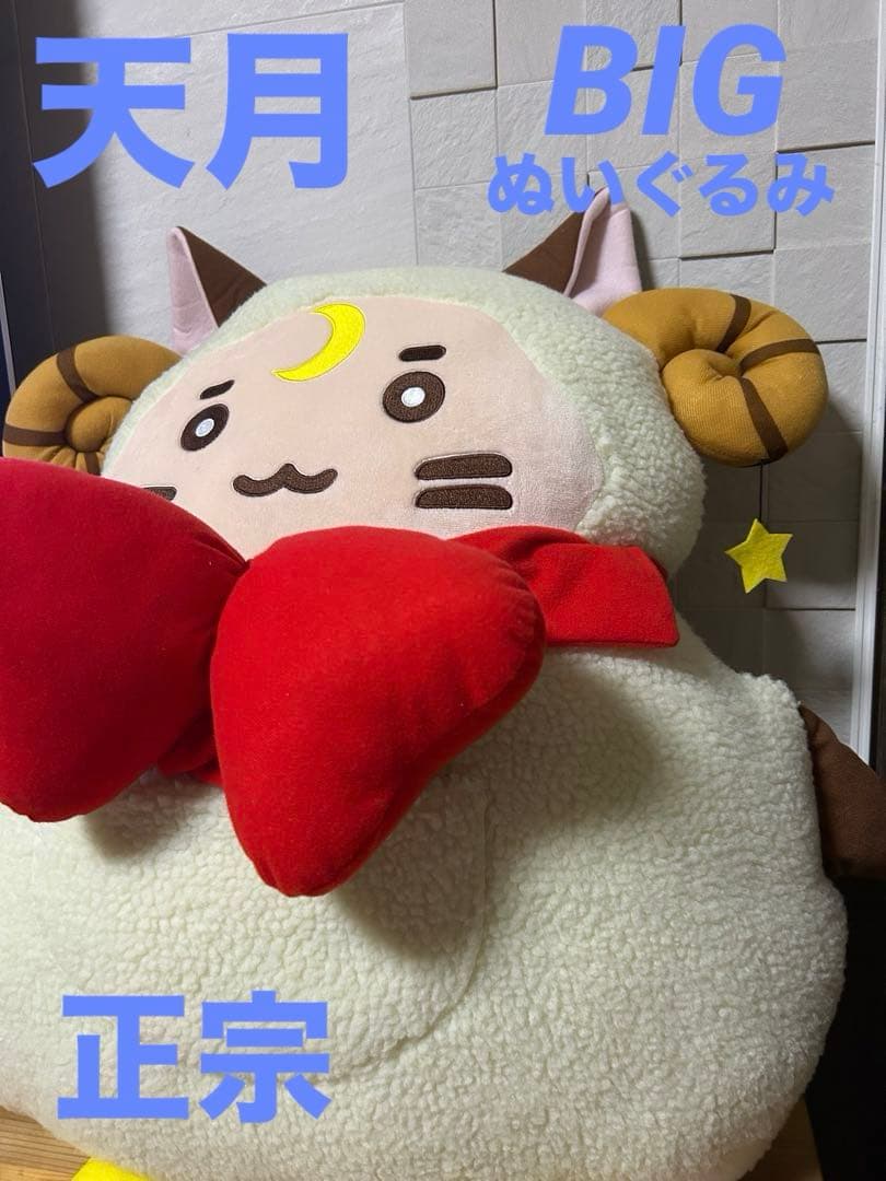 天月 ぬいぐるみ ビッグ BIG 特大 AMATSUKI 限定 正宗