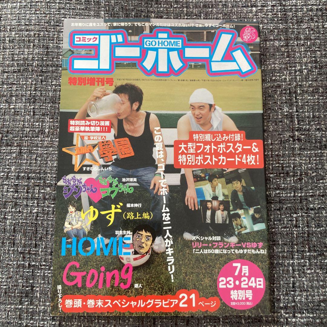 ゆず ツアーパンフレット