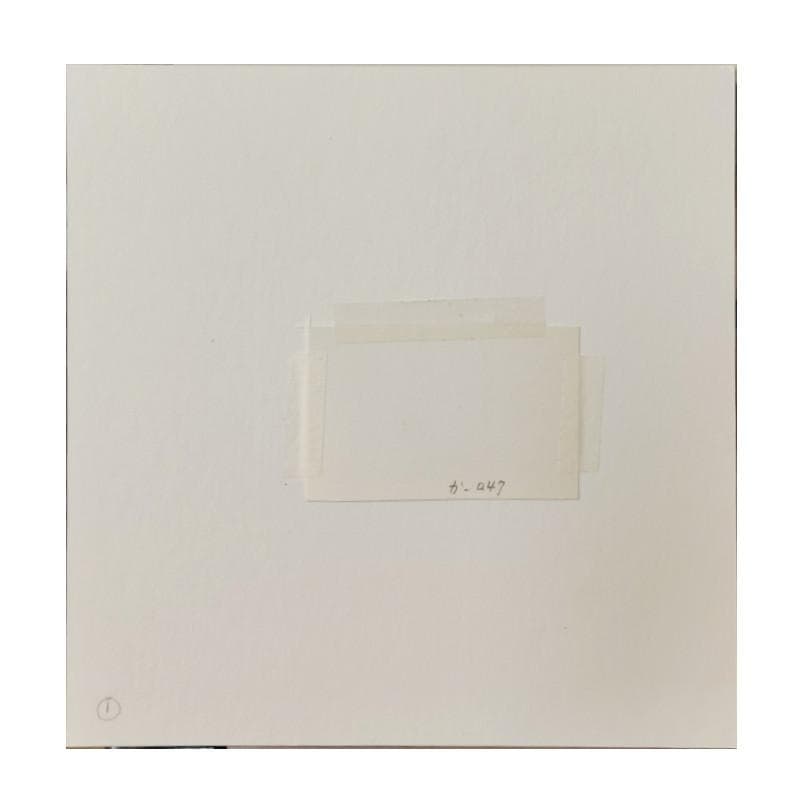 ☆坂本直行☆「エゾウサギギク」肉筆　ペン画　小作品２０角額　未使用！