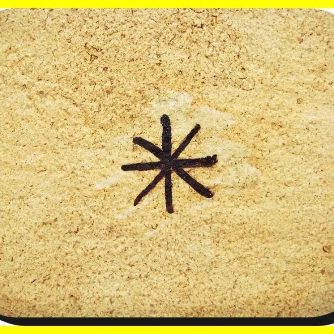 ma602⑤『黄瀬戸 菖蒲 隅切皿』＊　/骨董品 古美術 古道具 アンティーク