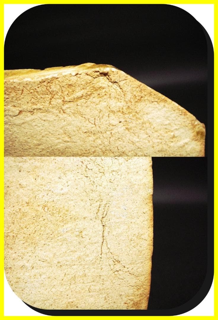 ma602⑤『黄瀬戸 菖蒲 隅切皿』＊ /骨董品 古美術 古道具 アンティーク