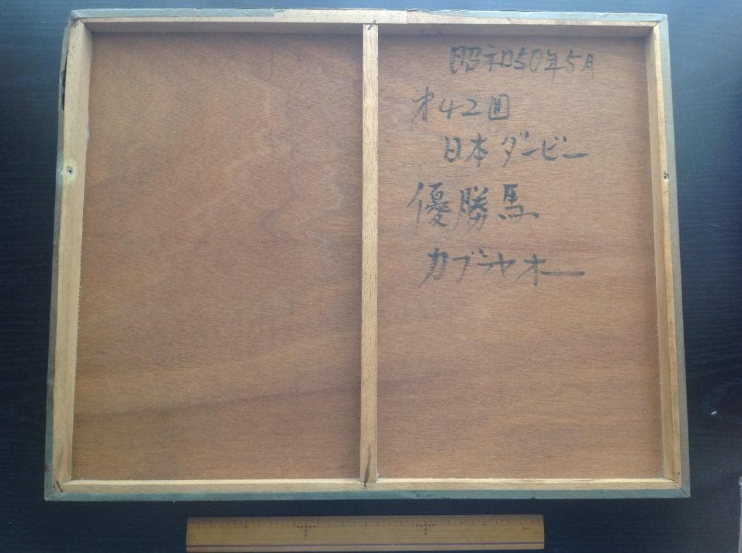 競馬パネル：カブラヤオー「1975年 第42回東京優駿」