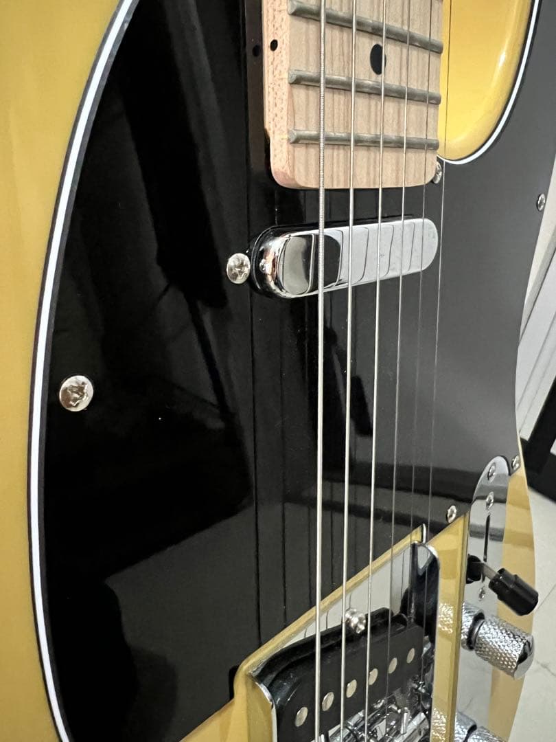 Bacchus BTE-1/M BBD バッカス テレキャスタイプ スタンド付き