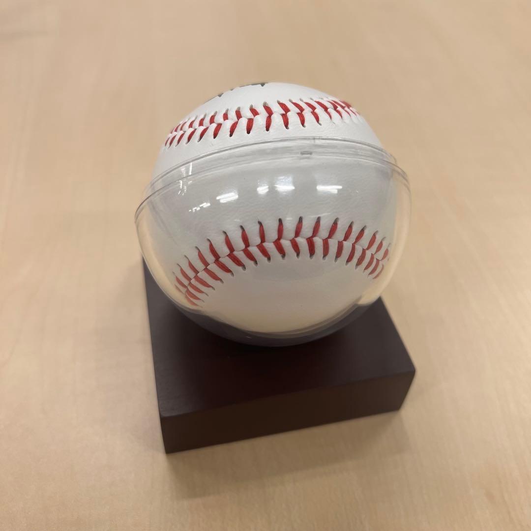 阪神優勝記念セール！TUBE 甲子園100周年記念限定　ロゴ入りボール　ペナント