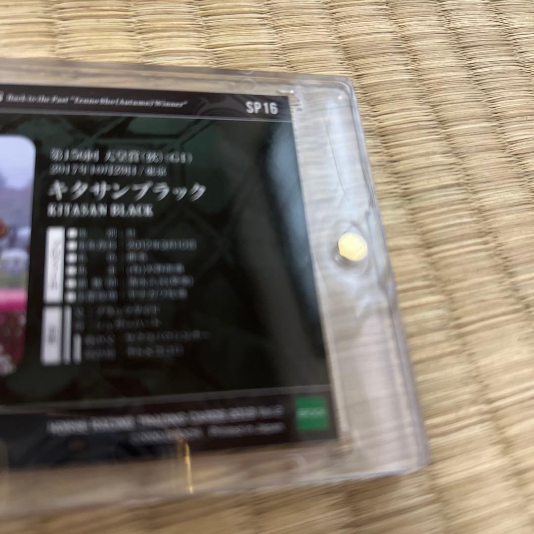 ホースレーシング2019　キタサンブラック