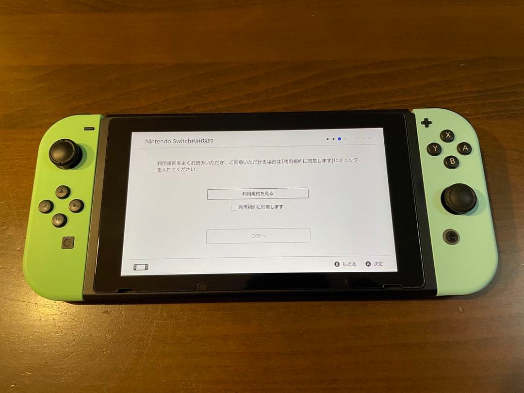 Nintendo Switch あつまれどうぶつの森セット　ハードケース付き