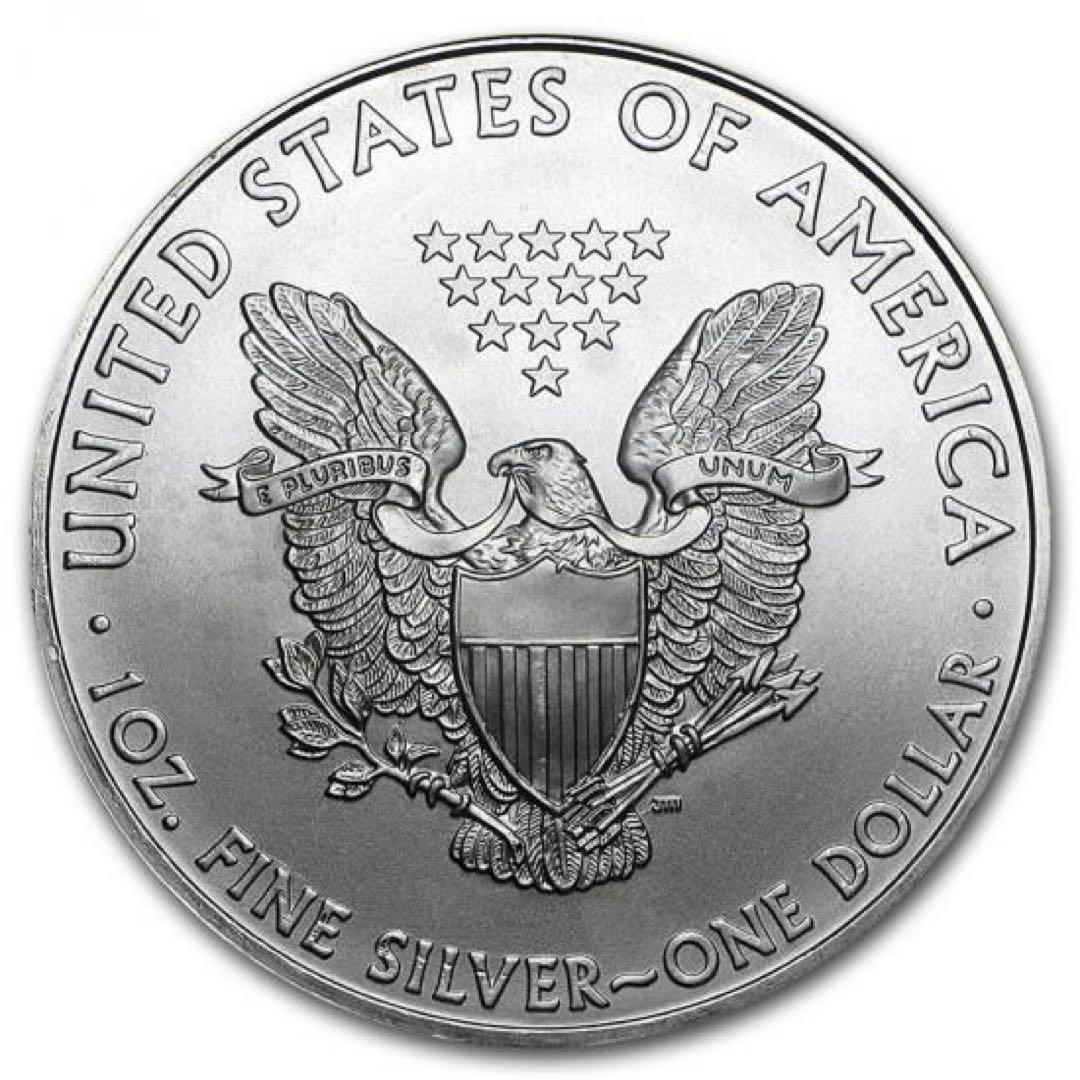 2010年 アメリカンイーグル銀貨　1オンス銀貨