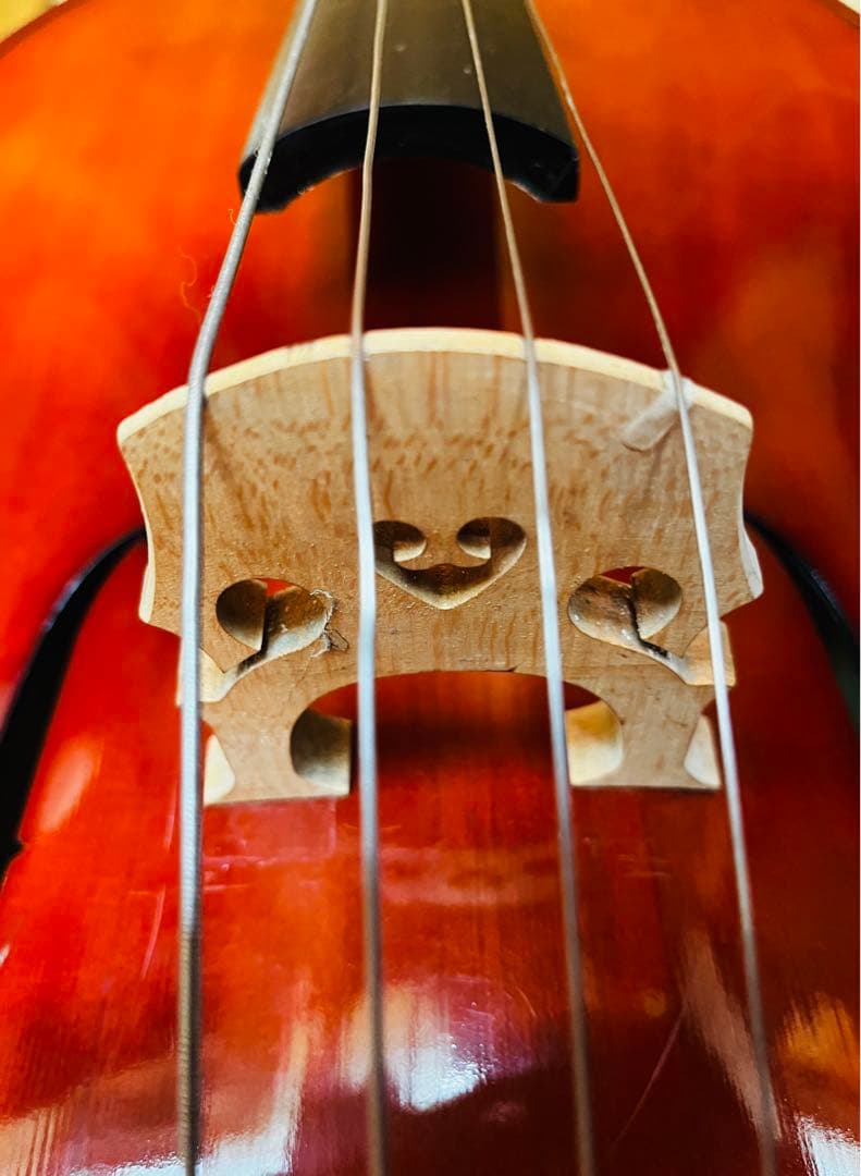 【未使用】Carlo Giordano cello チェロ2011年SC-90W