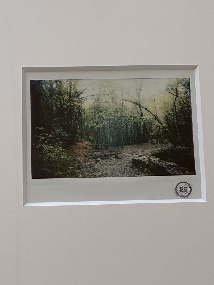 エレン・フライス elein fleiss 本人撮影ポラロイド 額装済 - メルカリ