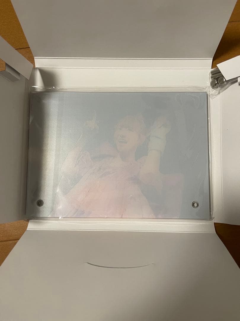 【希少】FRUITS ZIPPER 仲川瑠夏　直筆サイン入りアクリルパネル