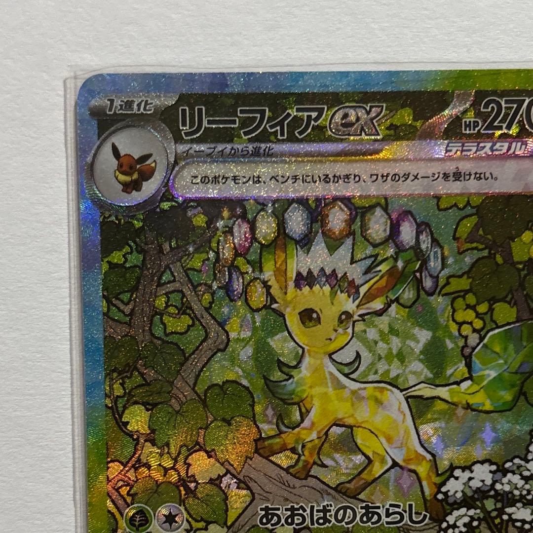 テラスタルフェスex ブイズ まとめ売り