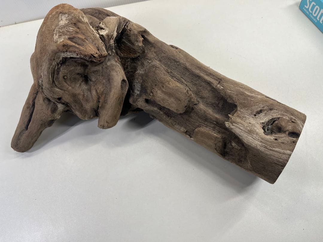 W31アク抜き済み流木 爬虫類シェルター 登り木 インテリア 生け花