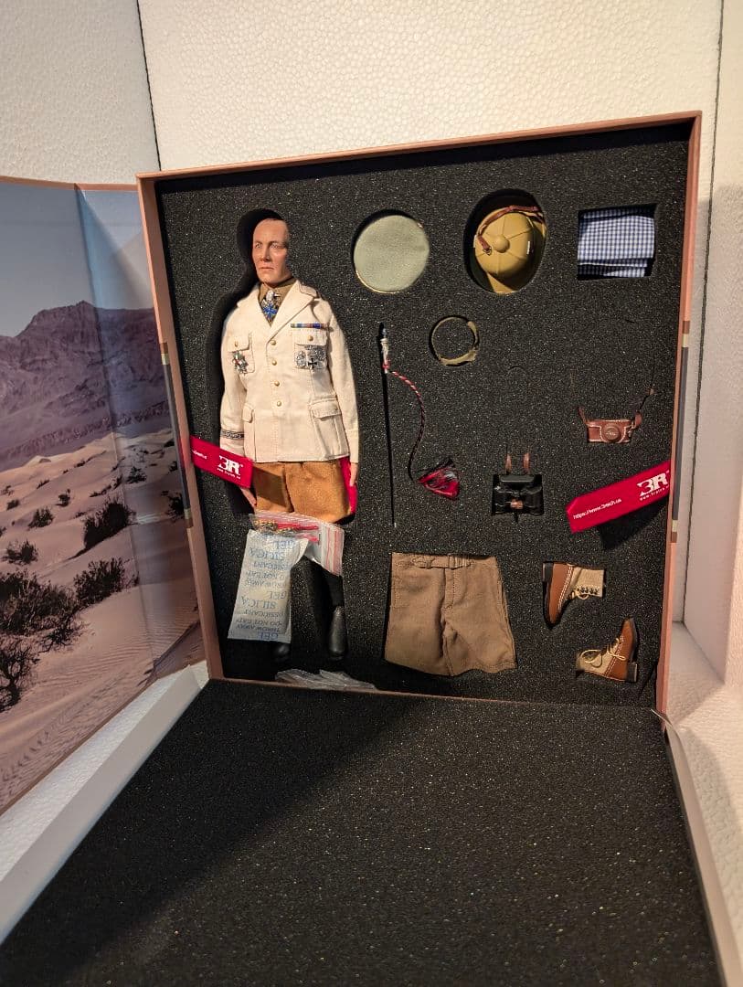 1/6 Desert　fox RONMEL