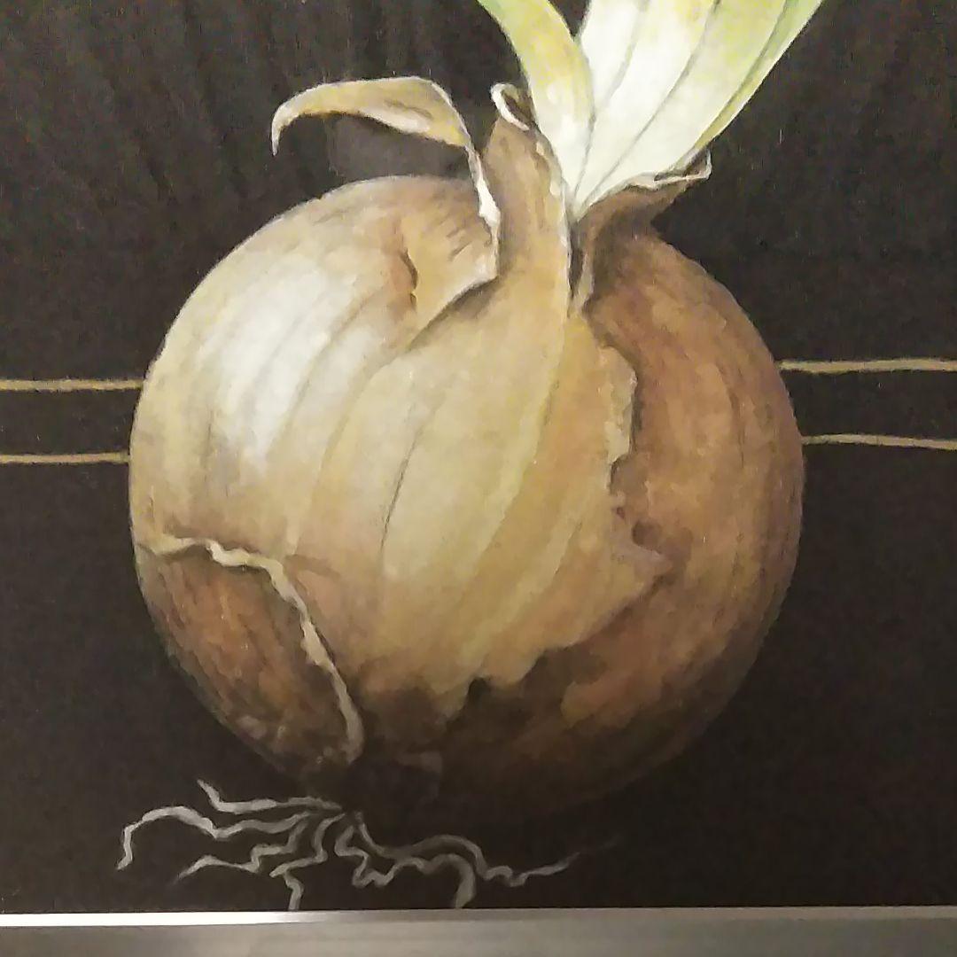 日本画(19) 玉ねぎ2 - 絵画アウトレット ショップ
