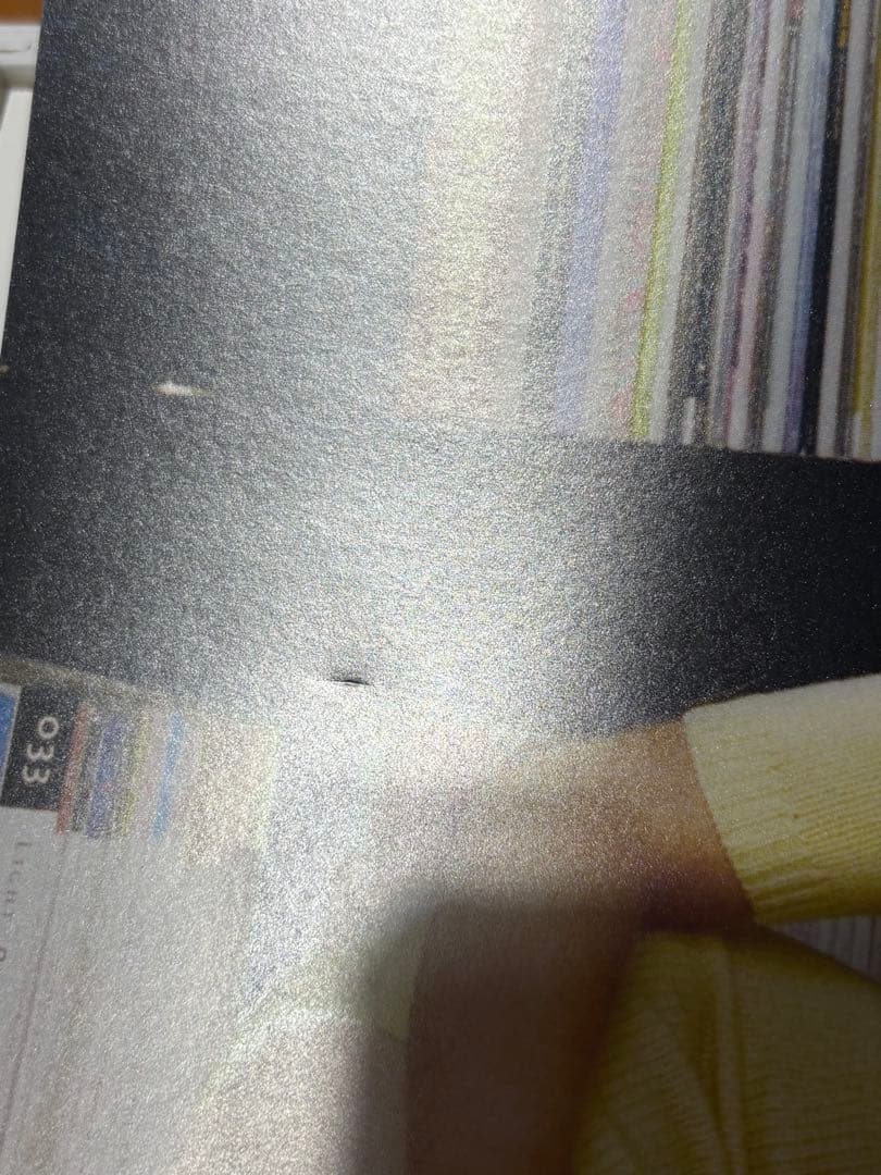 sabrina carpenter サブリナカーペンター 直筆サイン レコード