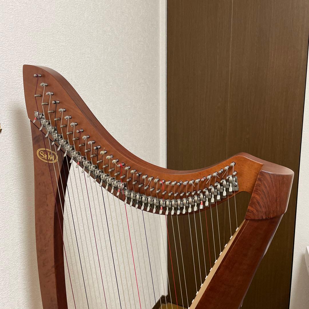 イタリア製、アイリッシュハープサルビ34弦