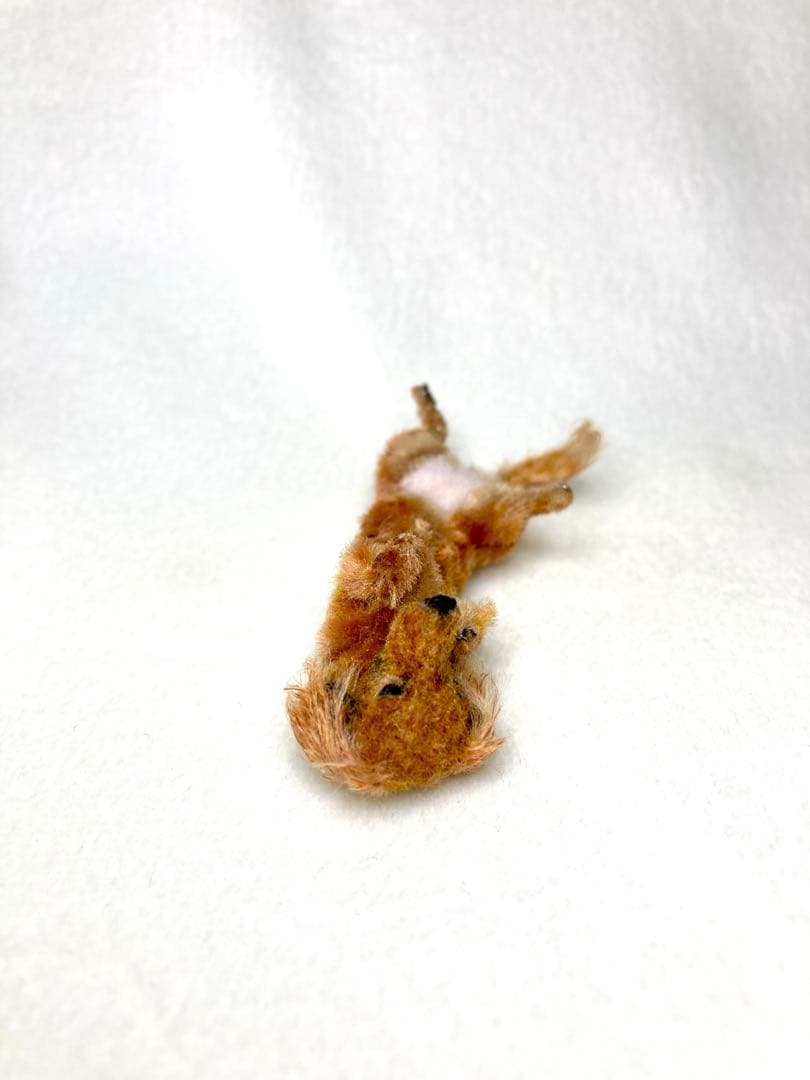 モールアート☆ミニダックス☆へそてん