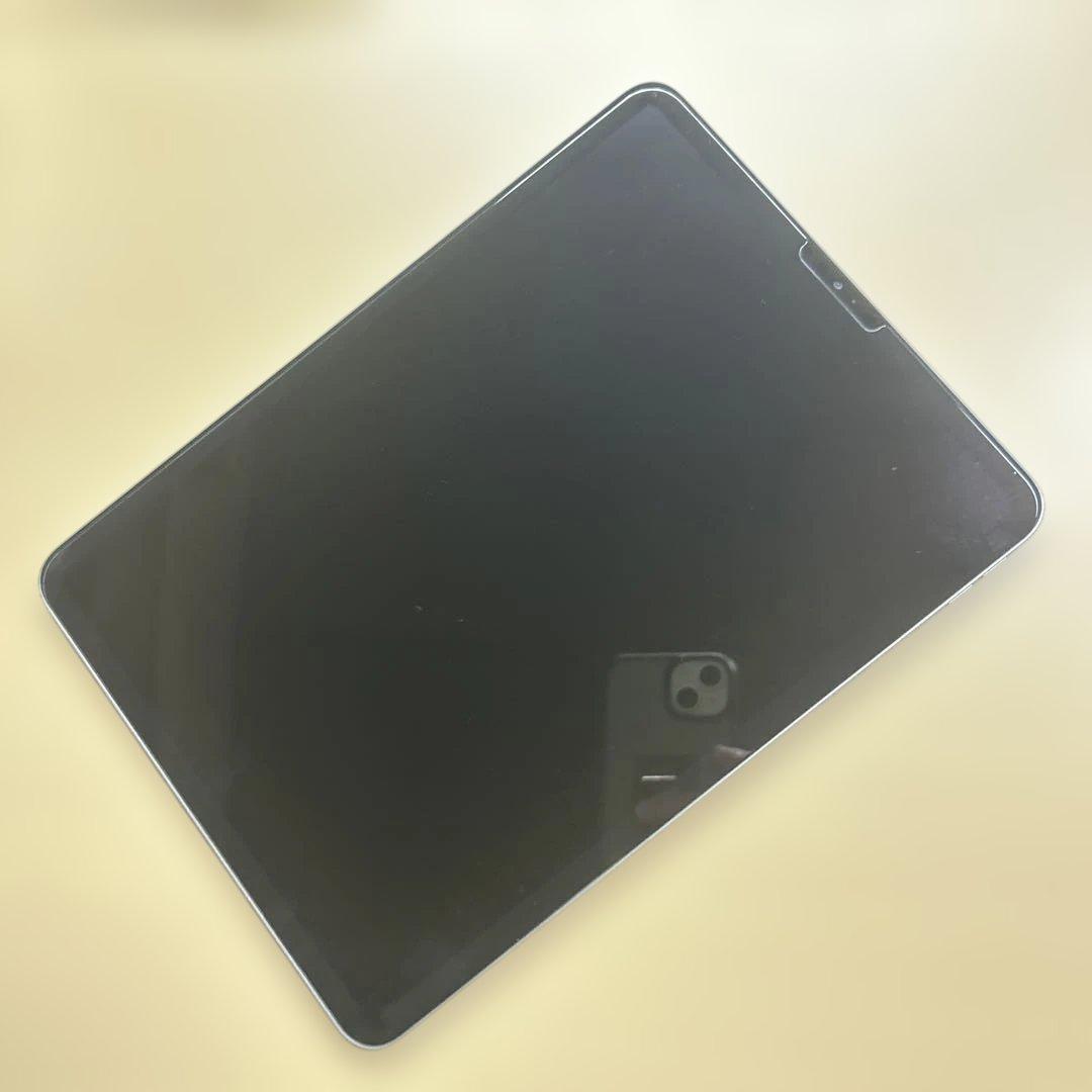 iPad Pro 11インチ 第1世代 64GB Wi-Fi 液晶不良あり iPad Pro 11